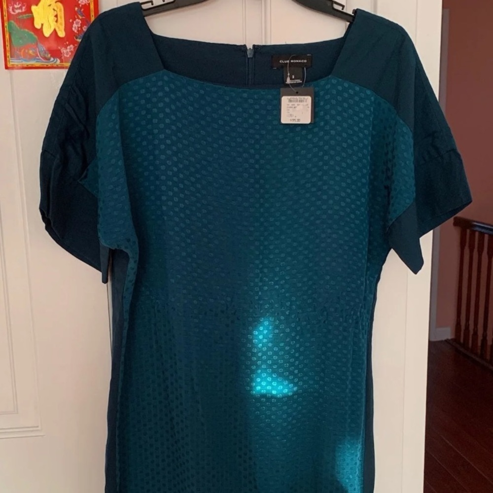 Club Monaco Silk Dress